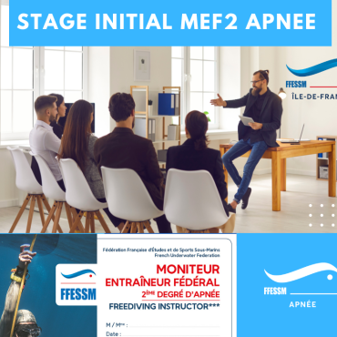 SI MEF2 IDF
