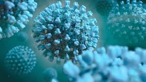 coronavirus recommandations